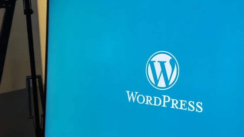 hvad-er-wordpress-billede-af-skyrm-med-wordpress-logoGood-Going-digitalt-bureau